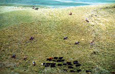 Ecuador-Highlands Riding Tours-Highlands Cattle & Horse Round Up in Ecuador